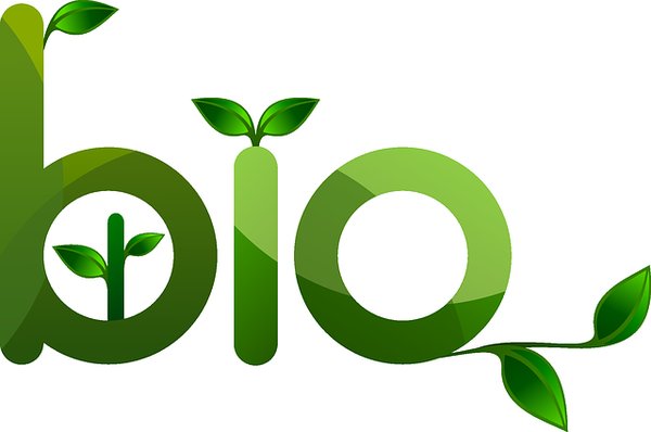 Comment adopter une alimentation durable au quotidien ?