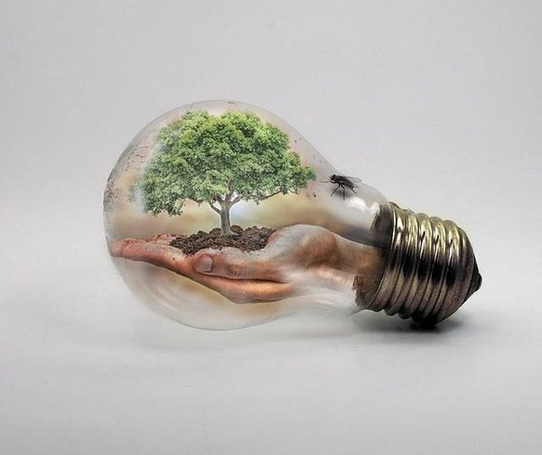 Quels sont les indicateurs clés pour suivre l'évolution du climat ?