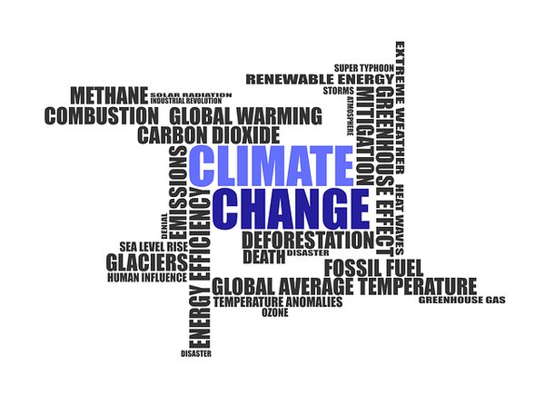 Quels sont les scénarios possibles pour l'avenir du climat ?