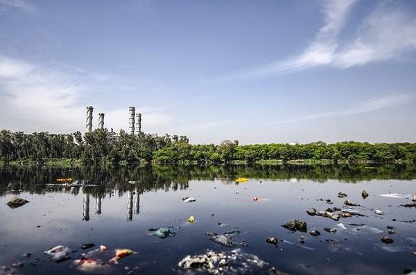 Quels sont les effets de la pollution sur la santé et l'environnement ?